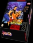 Nintendo  SNES&nbsp; - &nbsp;Art of Fighting (USA)